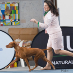 Mabel on her way to winning RBIS